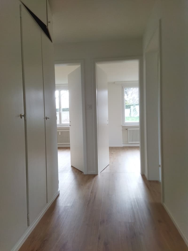 Helle geräumige 3-Zimmer Wohnung in Sissach (7)