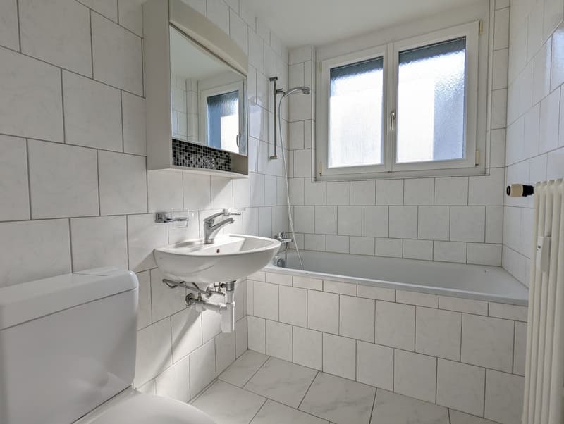 Helle geräumige 3-Zimmer Wohnung in Sissach (8)
