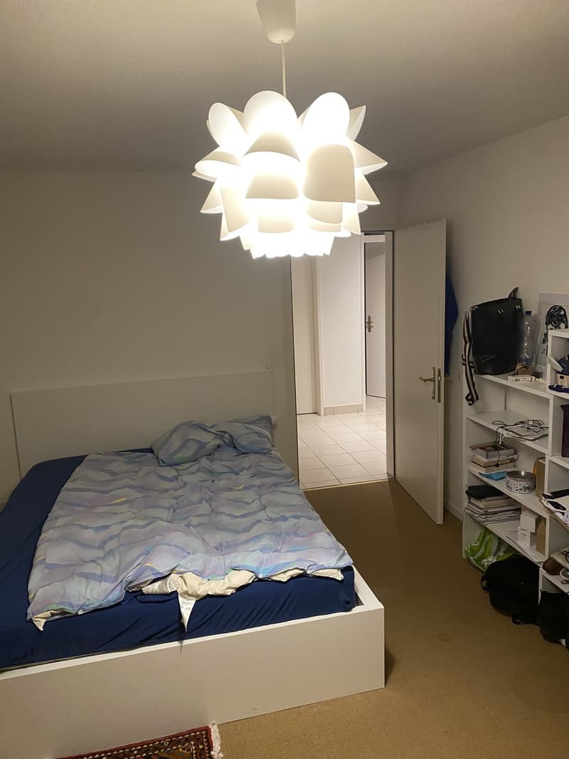 Möbliertes WG-Zimmer in Zürich Niederdorf zu vermieten (3)