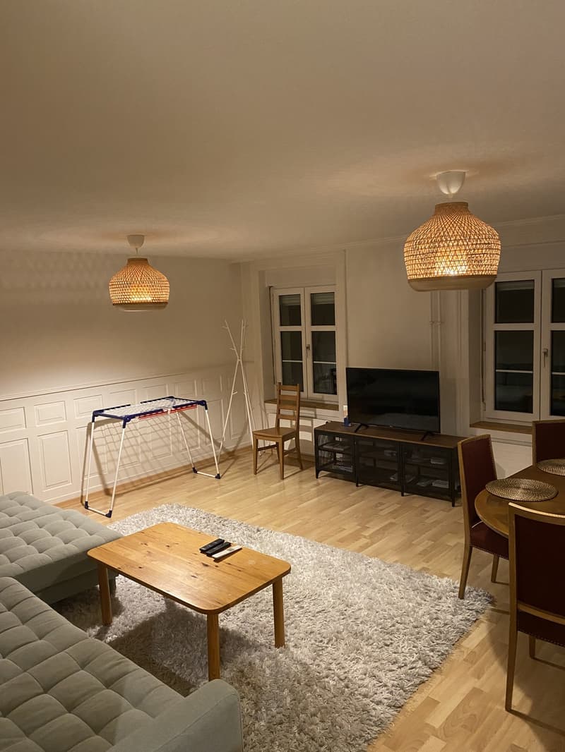 Möbliertes WG-Zimmer in Zürich Niederdorf zu vermieten (2)