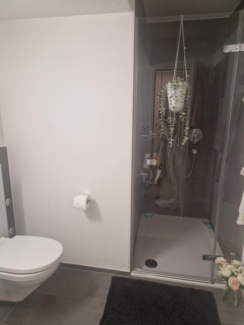 4.5 Wohnung in Sempach (4)