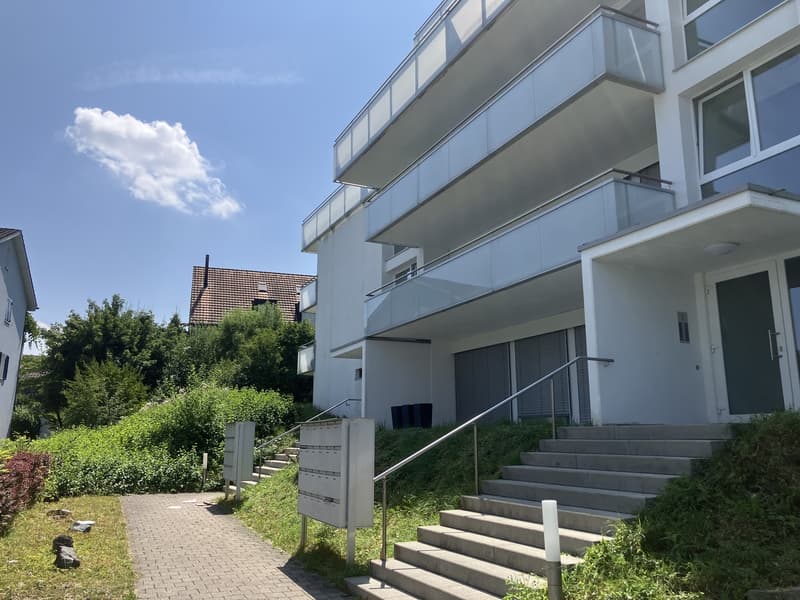Helle 2ZimmerWohnung mit grossem Balkon am Fusse des Uetlibergs (5)
