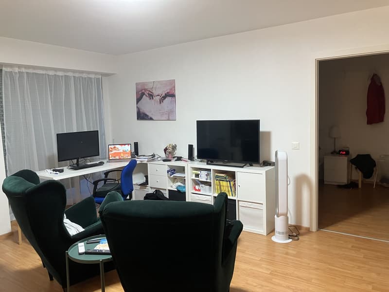Helle 2ZimmerWohnung mit grossem Balkon am Fusse des Uetlibergs (3)