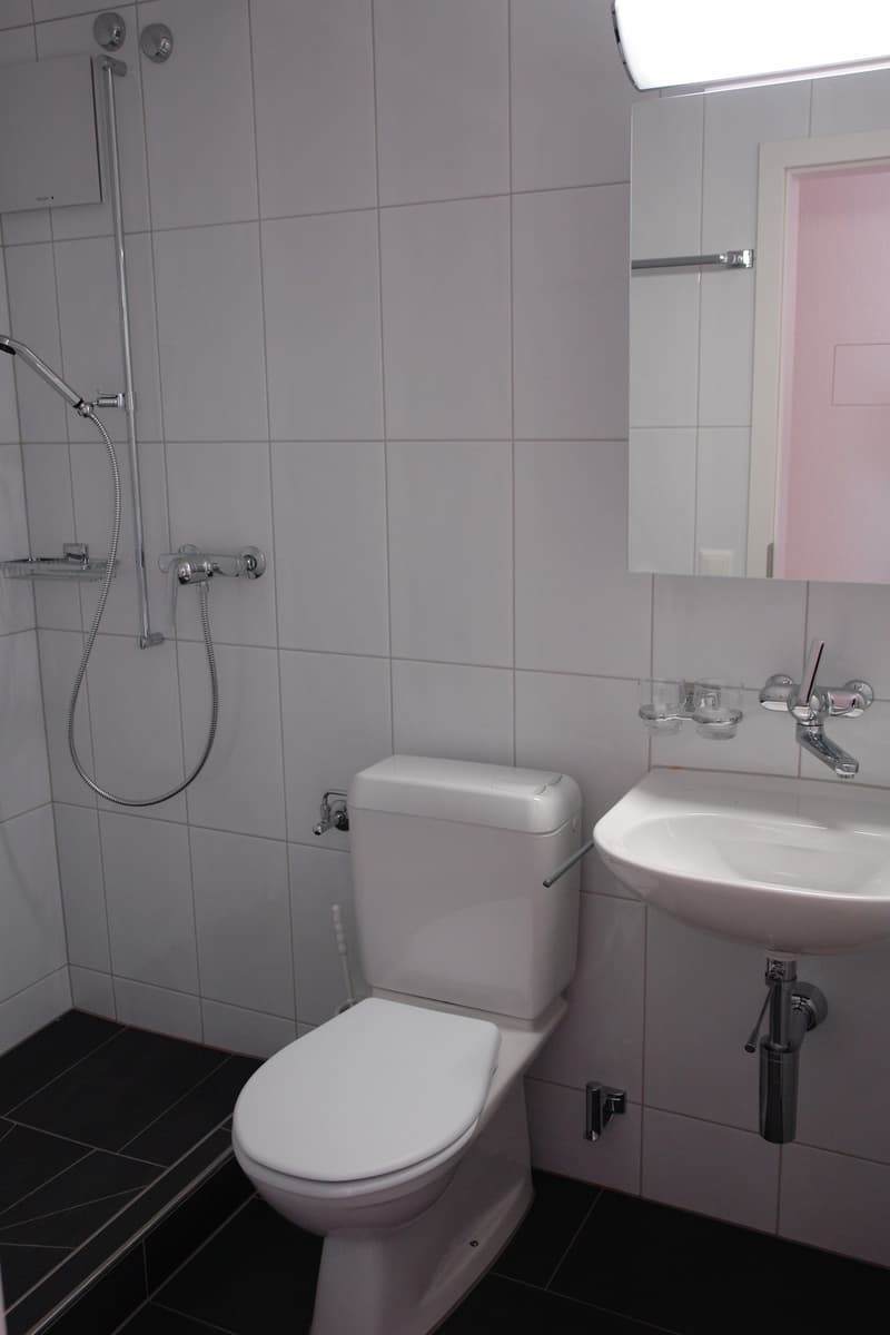 Helle 2ZimmerWohnung mit grossem Balkon am Fusse des Uetlibergs (1)