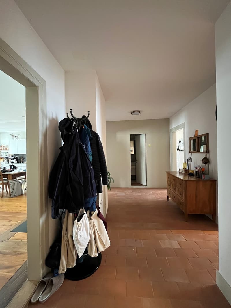 Charmante 3-Zimmer-Altbauwohnung in Winterthur ruhig und zentral gelegen (4)