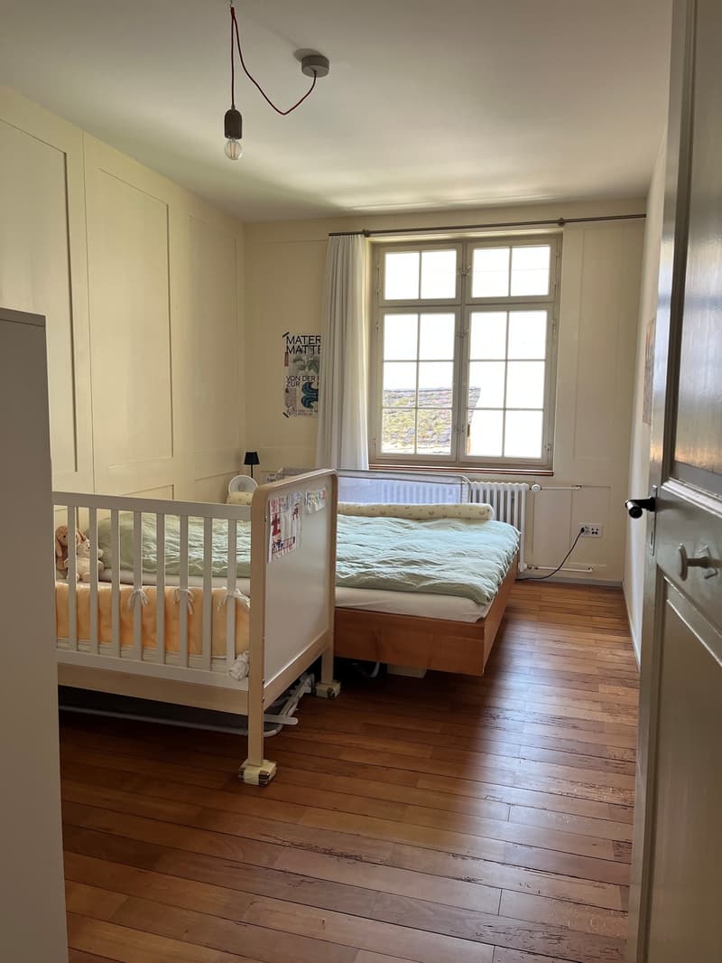 Charmante 3-Zimmer-Altbauwohnung in Winterthur ruhig und zentral gelegen (3)