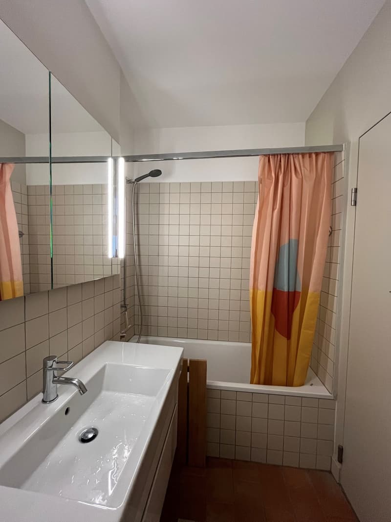 Charmante 3-Zimmer-Altbauwohnung in Winterthur ruhig und zentral gelegen (7)