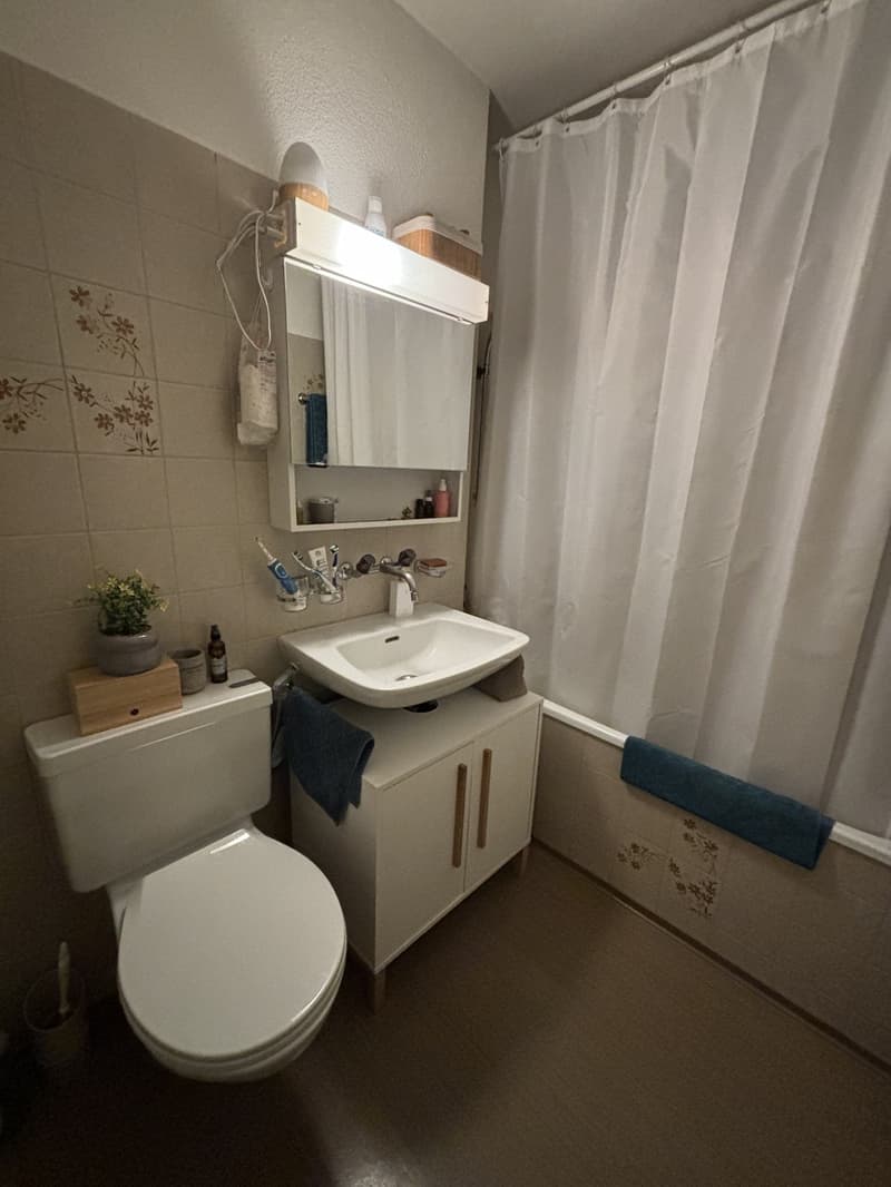 6 Monate zur Untermiete! Ruhige, zentral gelegene 2-Zimmer-WG in Zürich ab 01.01.2027 (2)