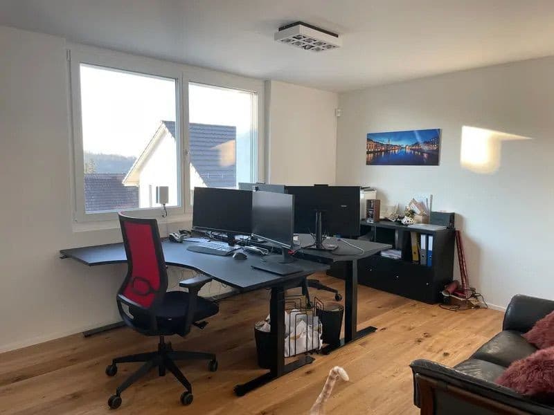 Exklusive 5.5-Zimmer-Terrassenwohnung mit 220 m² Wohnfläche Wohnen mitten in den Rebbergen von Tegerfelden (6)