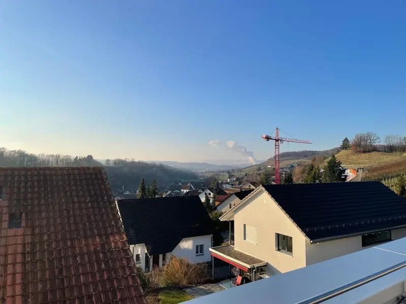 Exklusive 5.5-Zimmer-Terrassenwohnung mit 220 m² Wohnfläche Wohnen mitten in den Rebbergen von Tegerfelden (2)