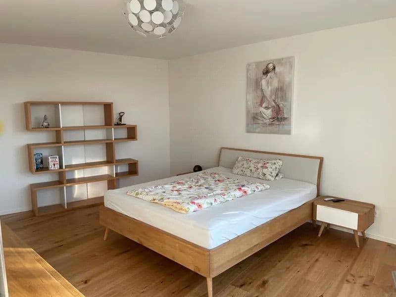 Exklusive 5.5-Zimmer-Terrassenwohnung mit 220 m² Wohnfläche Wohnen mitten in den Rebbergen von Tegerfelden (9)