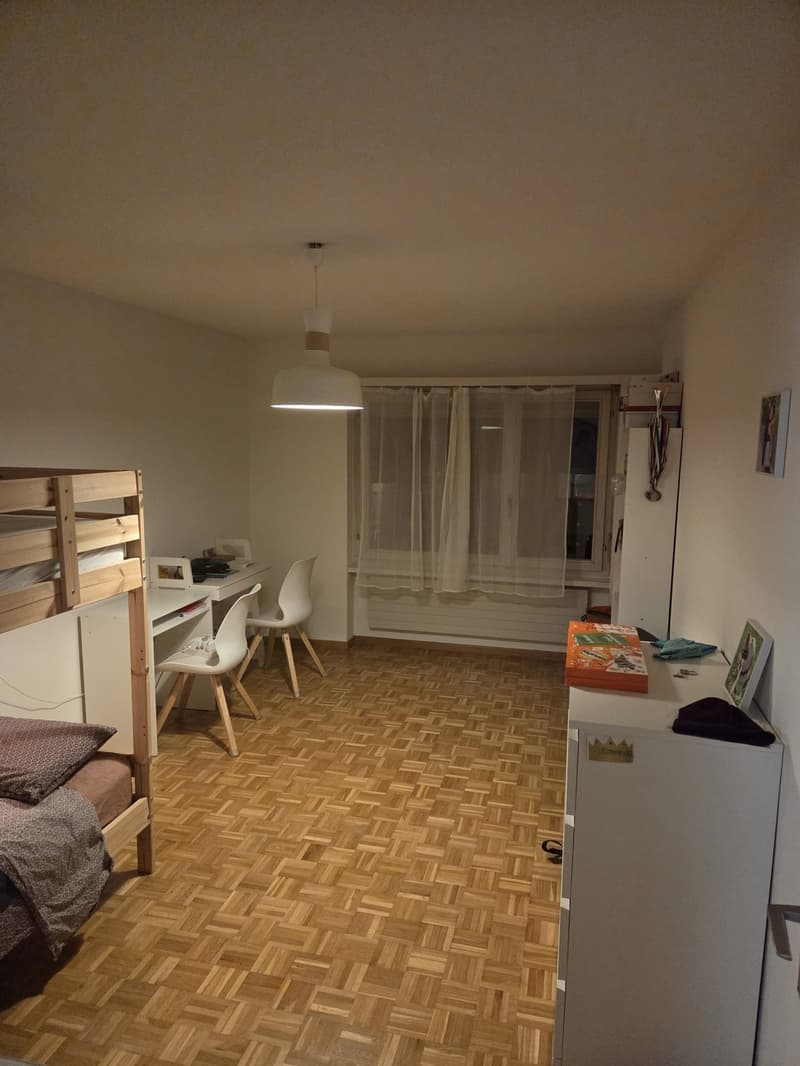 Room for rent in shared apartment Höngg district (Zurich) (4)