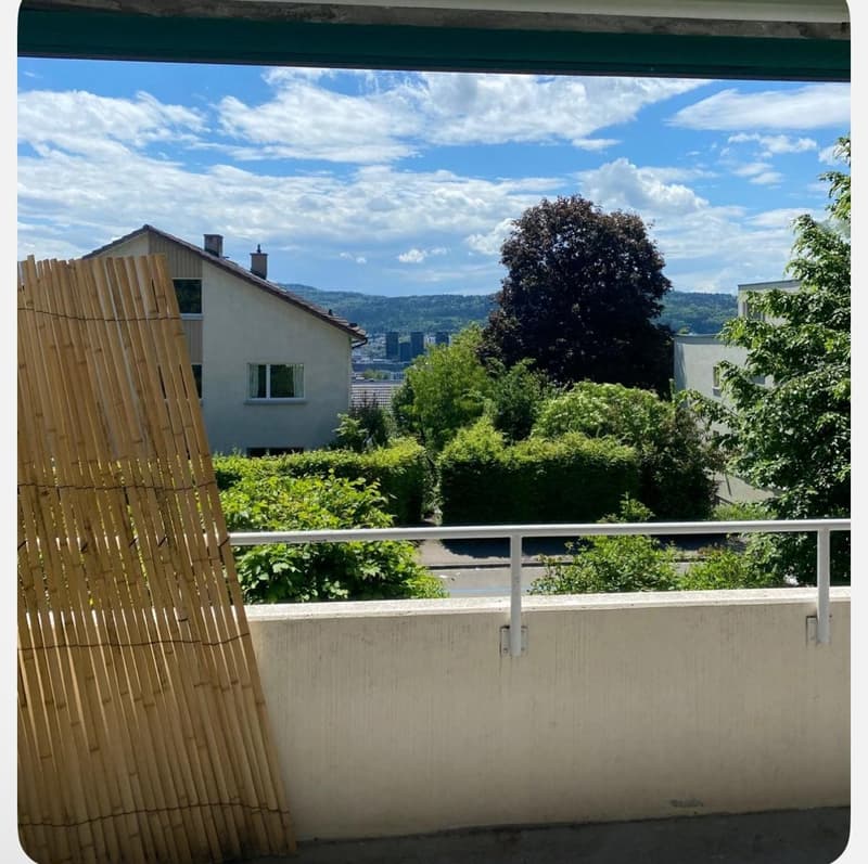 Room for rent in shared apartment Höngg district (Zurich) (3)