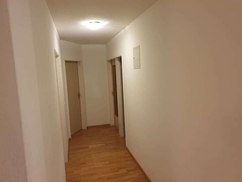 Helles WG-Zimmer in Zürich Kreis 11 mit guter Verkehrsanbindung (3)