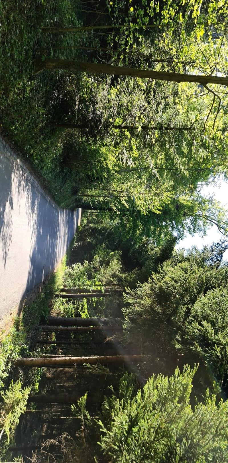 Helles WG-Zimmer in Zürich Kreis 11 mit guter Verkehrsanbindung (5)