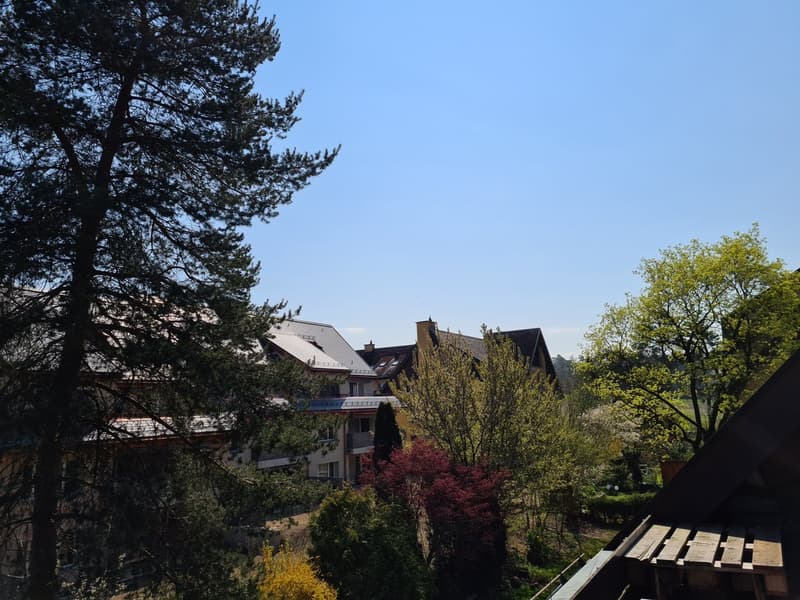 Helles WG-Zimmer in Zürich Kreis 11 mit guter Verkehrsanbindung (2)