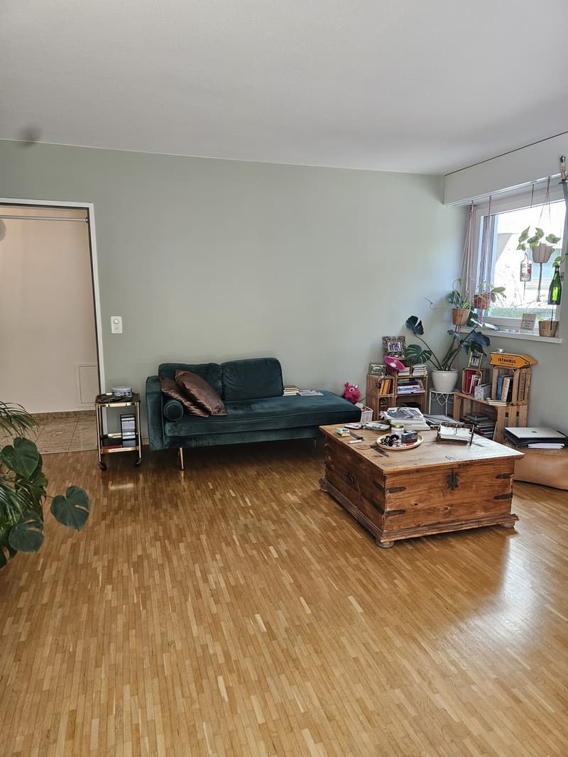 2 Zimmerwohnung in Zürich Hottingen (3)