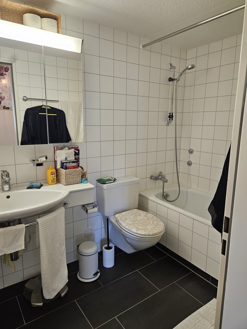 2 Zimmerwohnung in Zürich Hottingen (5)
