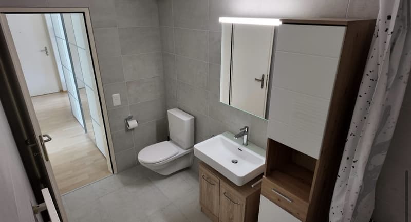 helle 2 1/2 Zimmer-Wohnung mit Balkon und Chminee (1)