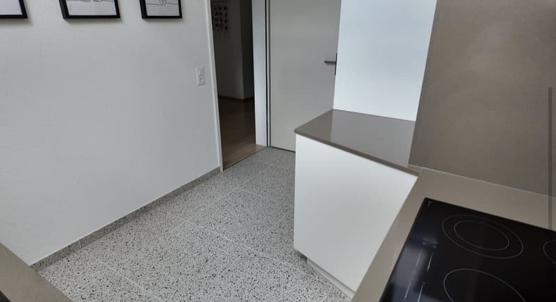 helle 2 1/2 Zimmer-Wohnung mit Balkon und Chminee (4)
