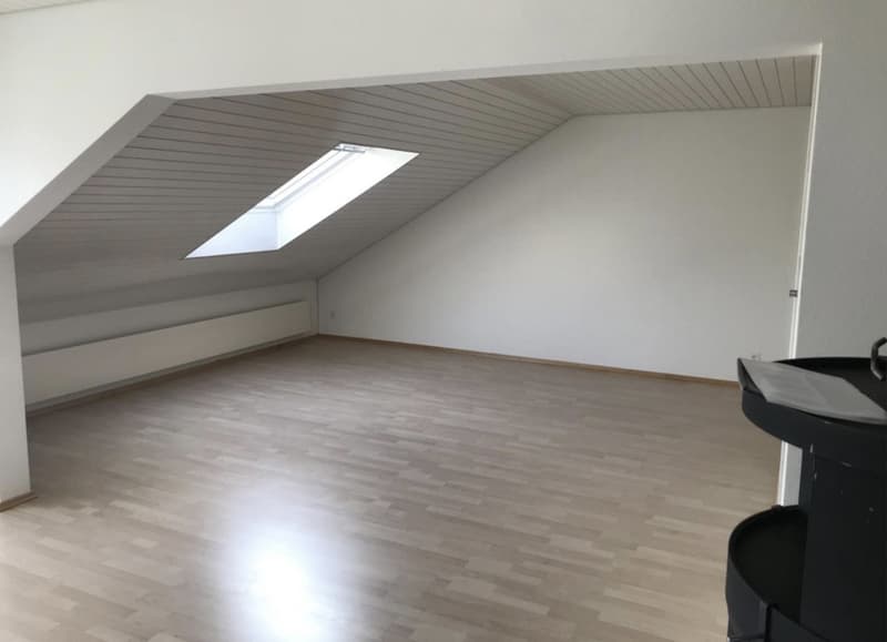 helle 2 1/2 Zimmer-Wohnung mit Balkon und Chminee (8)
