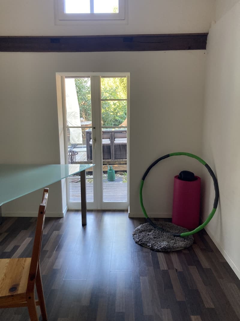 Tiny House/ Studio (3)