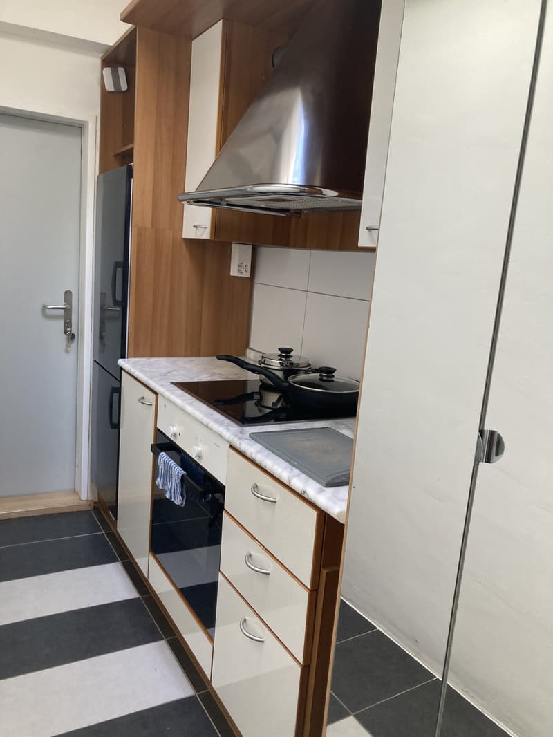 Tiny House/ Studio (2)