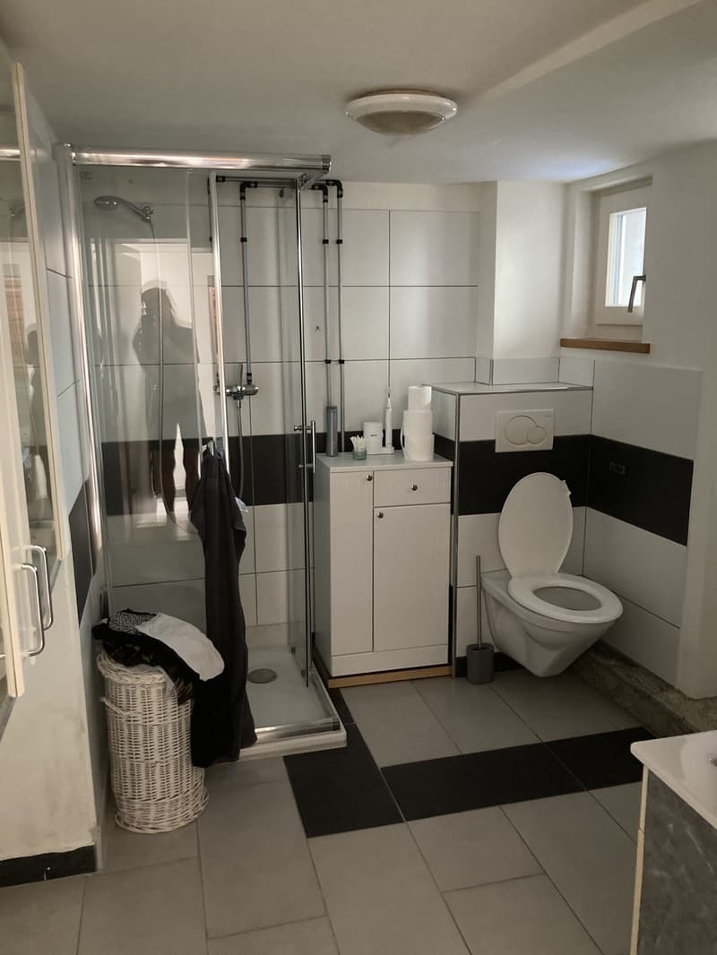 Tiny House/ Studio (6)