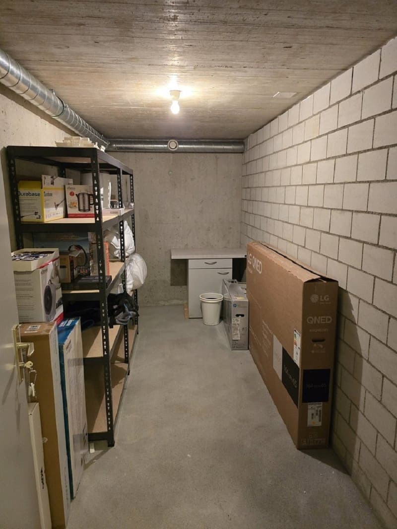 Wohnung mit Lift und balkon in Zug (8)