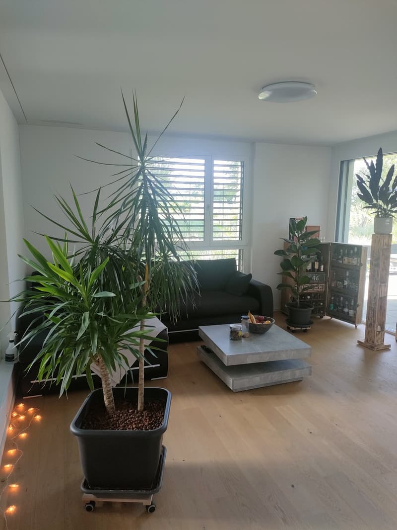 2 ½ Zimmer-Wohnung, 3186 Düdingen (7)