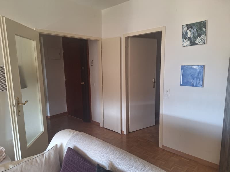 3-Bedroom Apartment Overlooking Private Park in Malagnou Lease Takeover (4)