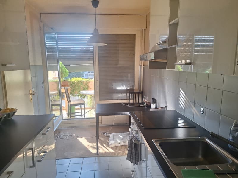 3-Bedroom Apartment Overlooking Private Park in Malagnou Lease Takeover (8)