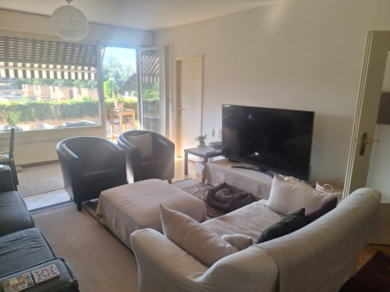 3-Bedroom Apartment Overlooking Private Park in Malagnou Lease Takeover (1)