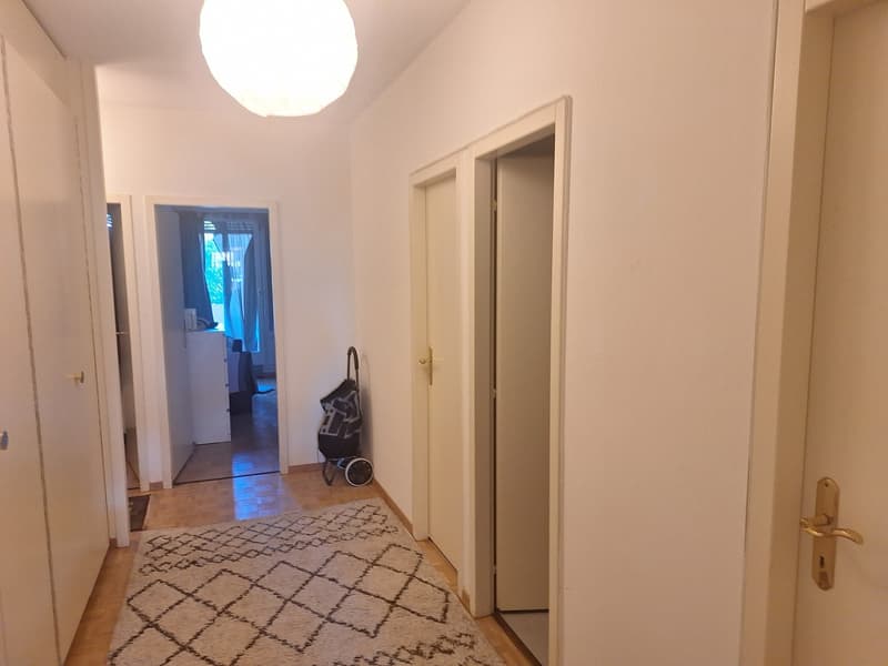 3-Bedroom Apartment Overlooking Private Park in Malagnou Lease Takeover (5)