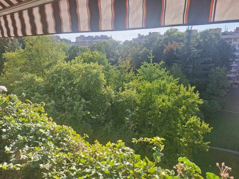 3-Bedroom Apartment Overlooking Private Park in Malagnou Lease Takeover (3)
