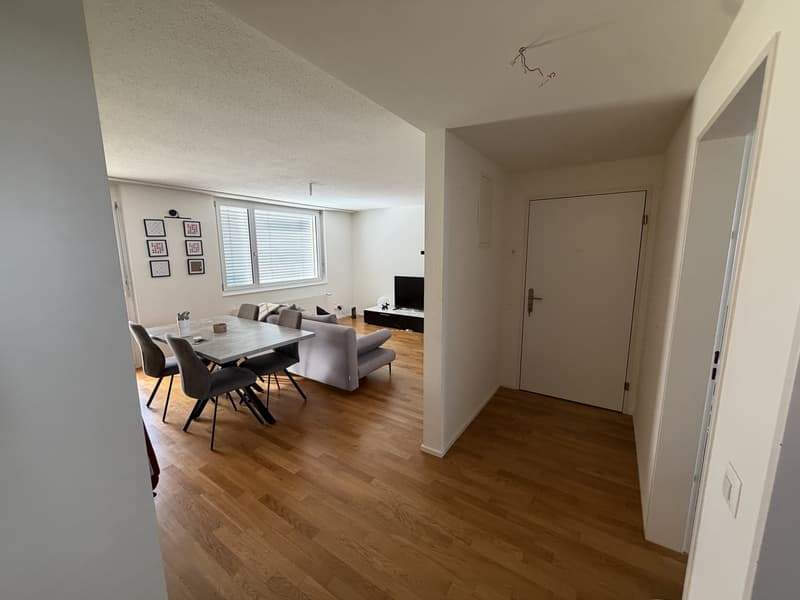 Temporary Rental 3 Months Winterthur (6)