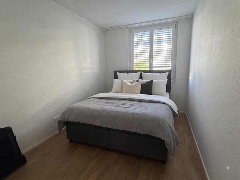 Temporary Rental 3 Months Winterthur (3)