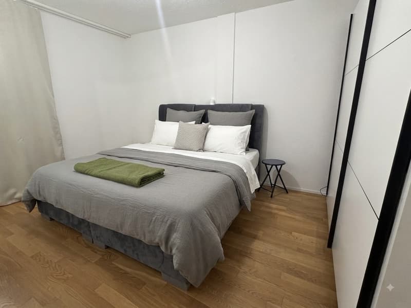 Temporary Rental 3 Months Winterthur (4)