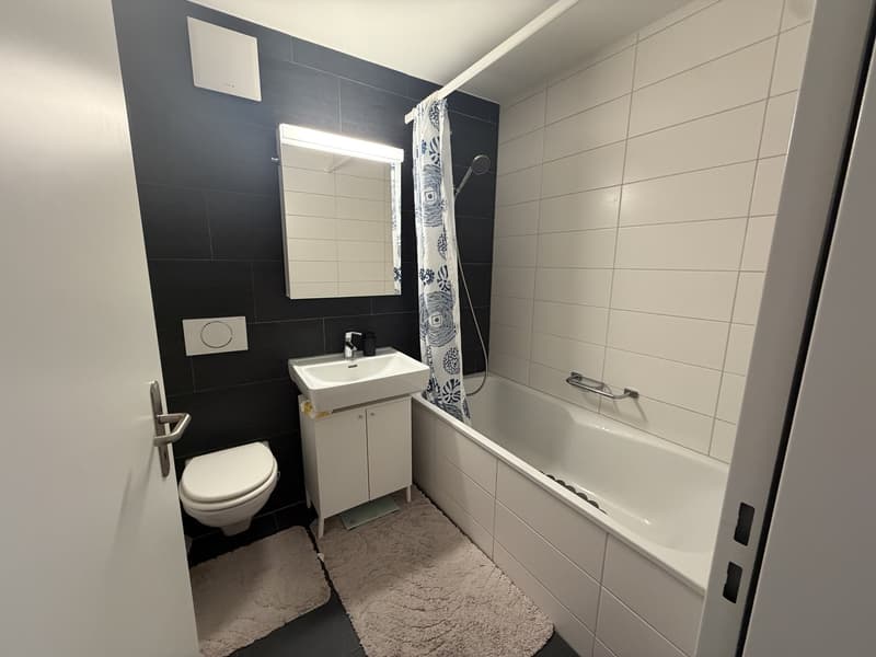 Temporary Rental 3 Months Winterthur (5)