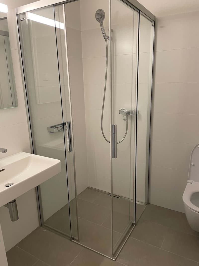 2 ½ Zimmer-Wohnung, 8105 Regensdorf (3)