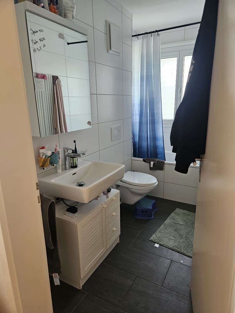 Grosszügige, moderne 4 Zimmerwohnung (2)