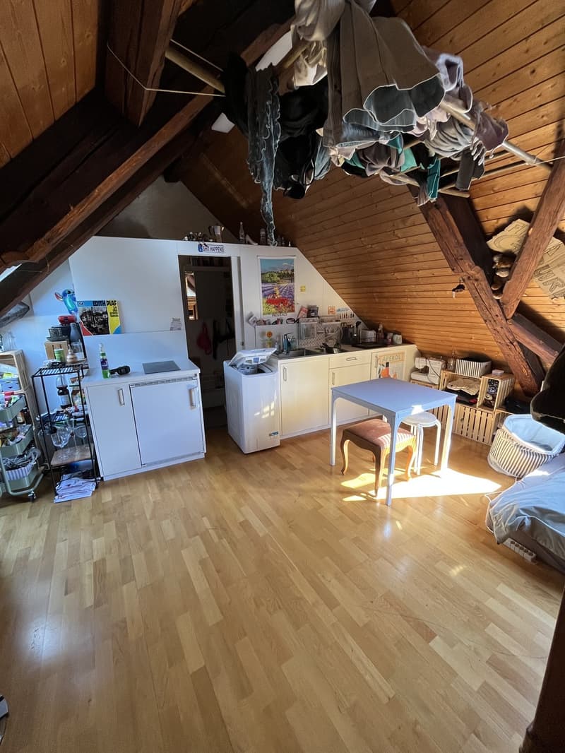 Gemütliche 1-Zimmer Wohnung direkt in der Winterthurer Altstadt (3)