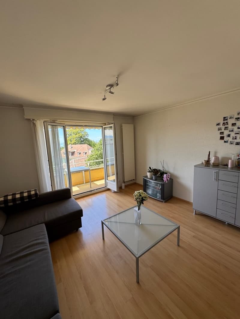 2 ½ rooms apartment, 1004 Lausanne (3)