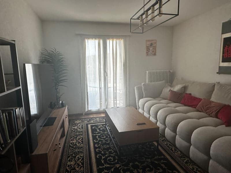 Appartement 3.5 pièces à Ste-Croix (11)