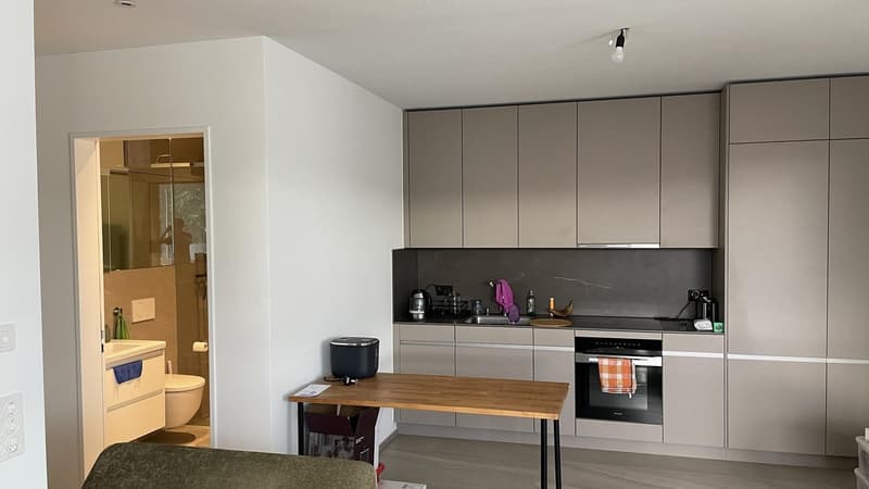 Nachmieter gesucht: Gemütliche 2.5-Zimmer-Wohnung (56 m²) in Wettingen (4)