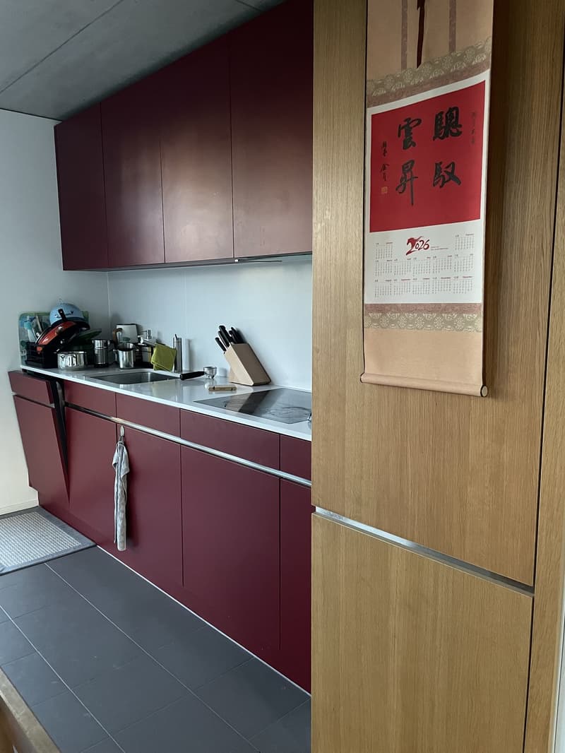 3 ½ rooms apartment, 8050 Zurich (2)