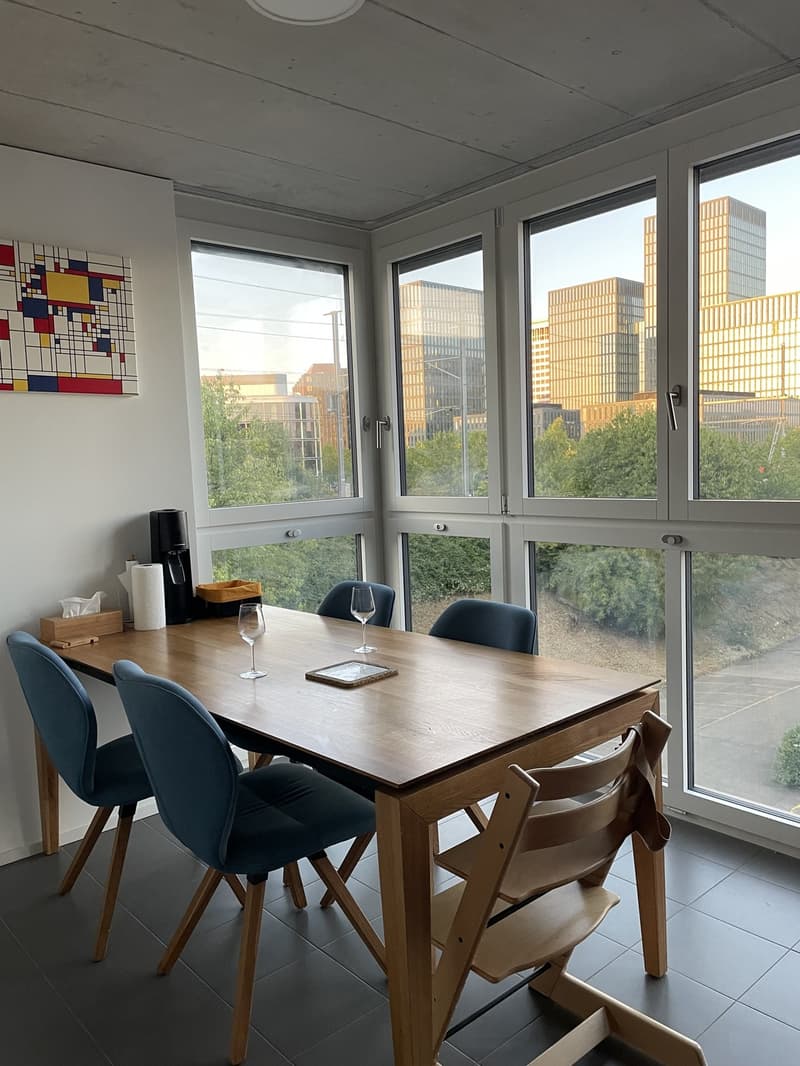 3 ½ rooms apartment, 8050 Zurich (1)