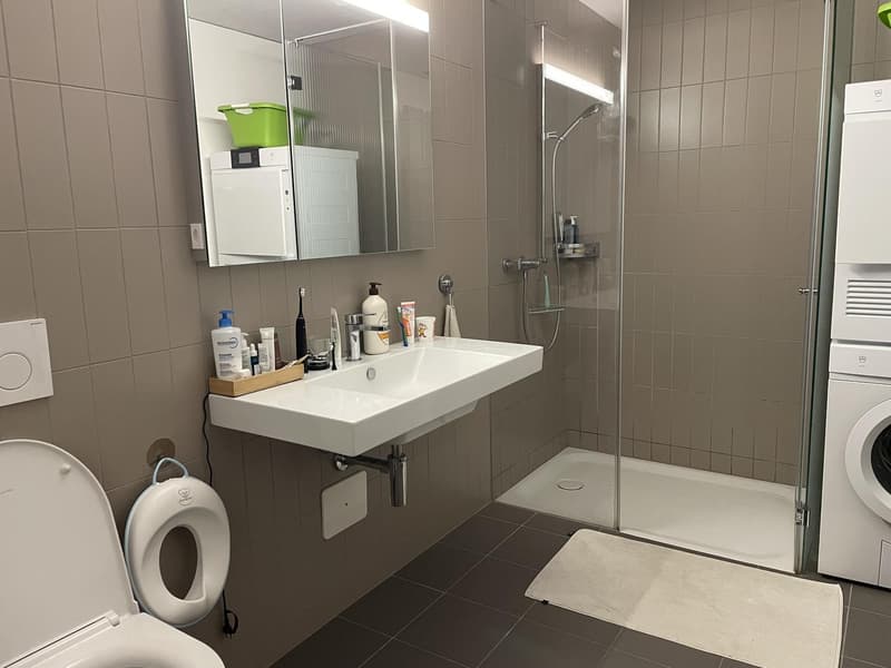 3 ½ rooms apartment, 8050 Zurich (5)