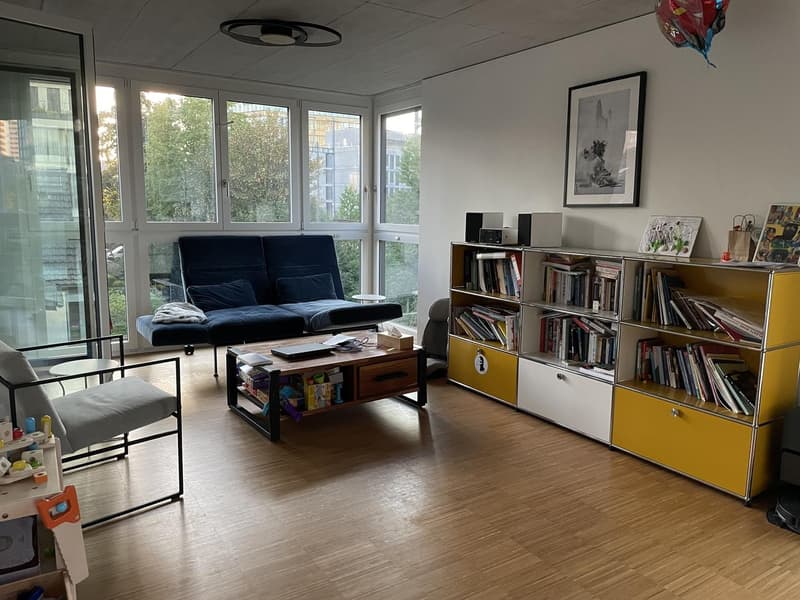 3 ½ rooms apartment, 8050 Zurich (3)