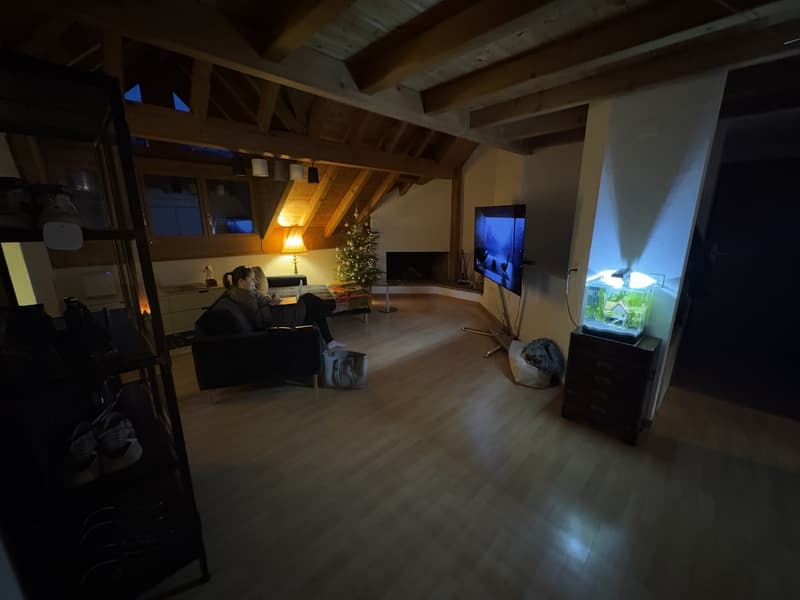 Dachwohnung im Herzen von Wädenswil (6)
